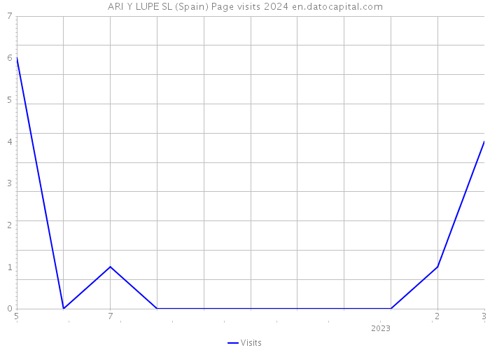 ARI Y LUPE SL (Spain) Page visits 2024 
