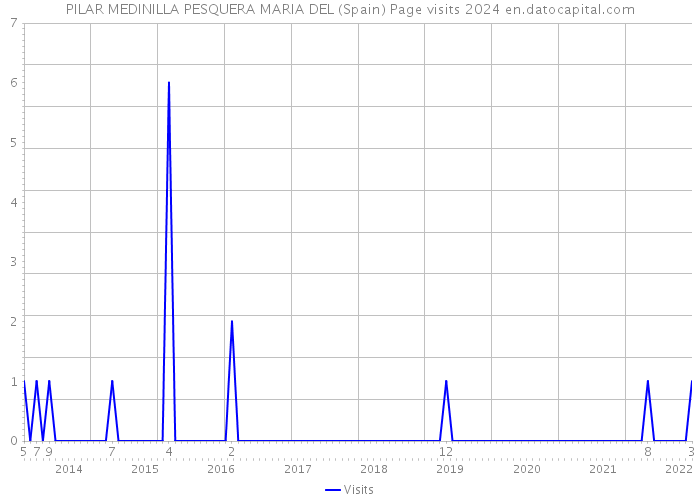 PILAR MEDINILLA PESQUERA MARIA DEL (Spain) Page visits 2024 