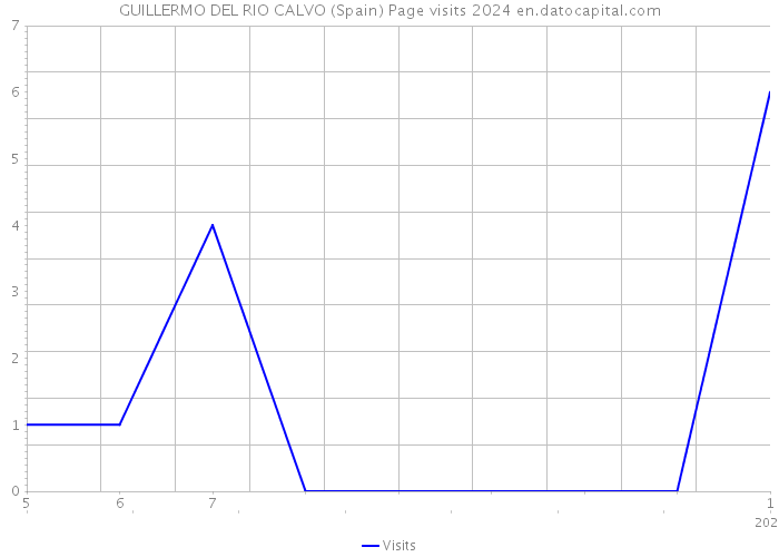 GUILLERMO DEL RIO CALVO (Spain) Page visits 2024 