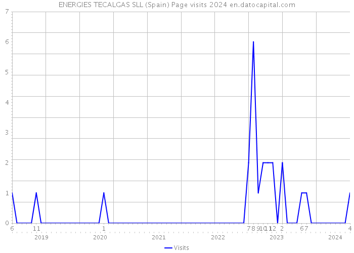 ENERGIES TECALGAS SLL (Spain) Page visits 2024 