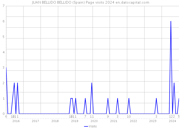 JUAN BELLIDO BELLIDO (Spain) Page visits 2024 