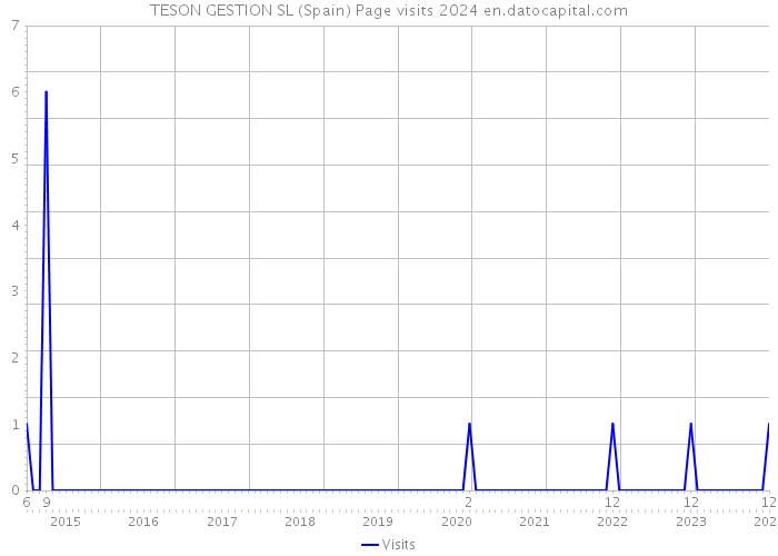 TESON GESTION SL (Spain) Page visits 2024 