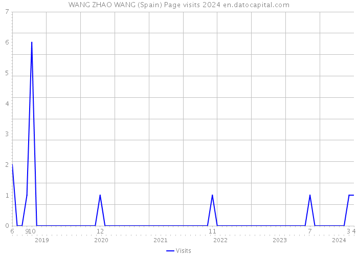 WANG ZHAO WANG (Spain) Page visits 2024 