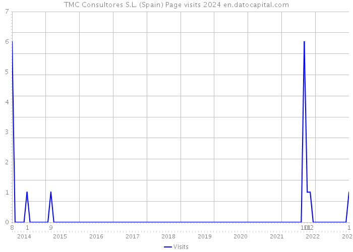 TMC Consultores S.L. (Spain) Page visits 2024 