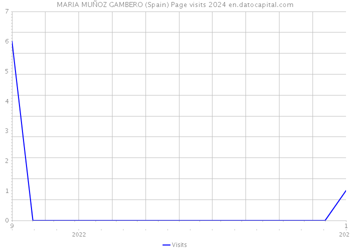 MARIA MUÑOZ GAMBERO (Spain) Page visits 2024 