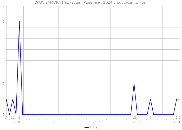 BRUC ZAMORA I SL. (Spain) Page visits 2024 