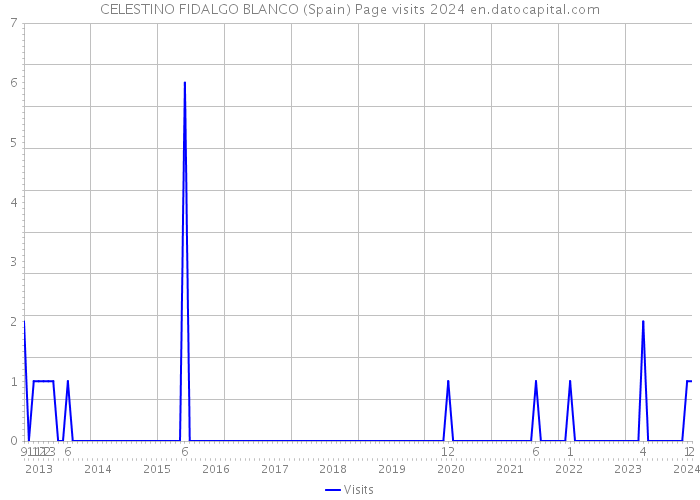 CELESTINO FIDALGO BLANCO (Spain) Page visits 2024 