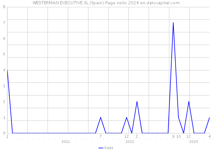 WESTERMAN EXECUTIVE SL (Spain) Page visits 2024 
