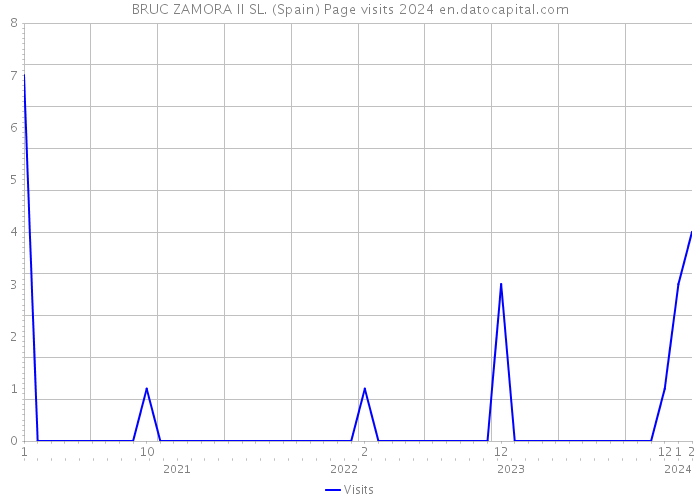 BRUC ZAMORA II SL. (Spain) Page visits 2024 