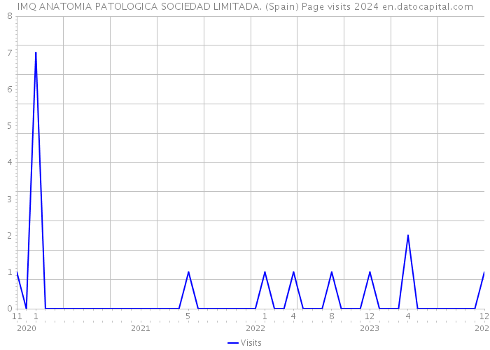 IMQ ANATOMIA PATOLOGICA SOCIEDAD LIMITADA. (Spain) Page visits 2024 