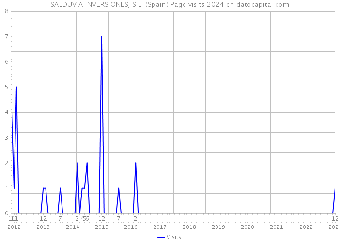 SALDUVIA INVERSIONES, S.L. (Spain) Page visits 2024 
