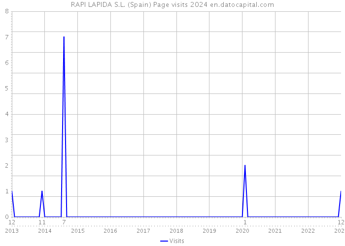 RAPI LAPIDA S.L. (Spain) Page visits 2024 