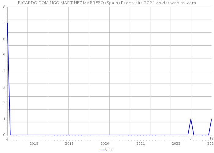 RICARDO DOMINGO MARTINEZ MARRERO (Spain) Page visits 2024 