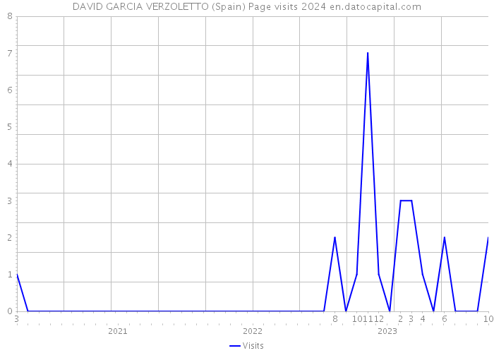 DAVID GARCIA VERZOLETTO (Spain) Page visits 2024 