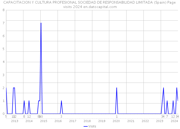CAPACITACION Y CULTURA PROFESIONAL SOCIEDAD DE RESPONSABILIDAD LIMITADA (Spain) Page visits 2024 