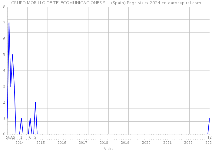GRUPO MORILLO DE TELECOMUNICACIONES S.L. (Spain) Page visits 2024 