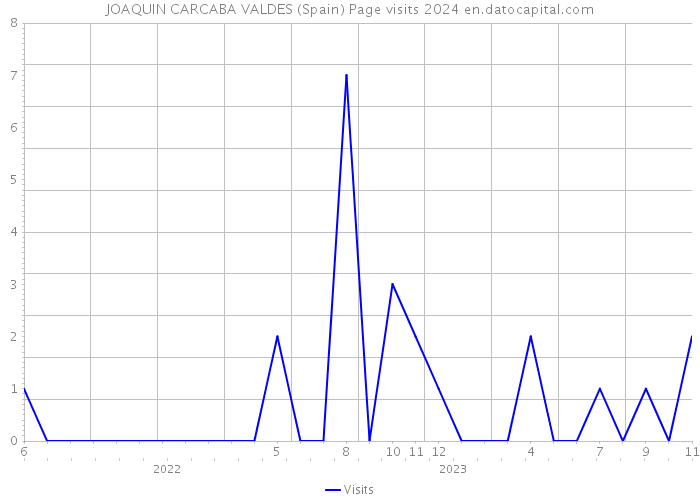 JOAQUIN CARCABA VALDES (Spain) Page visits 2024 