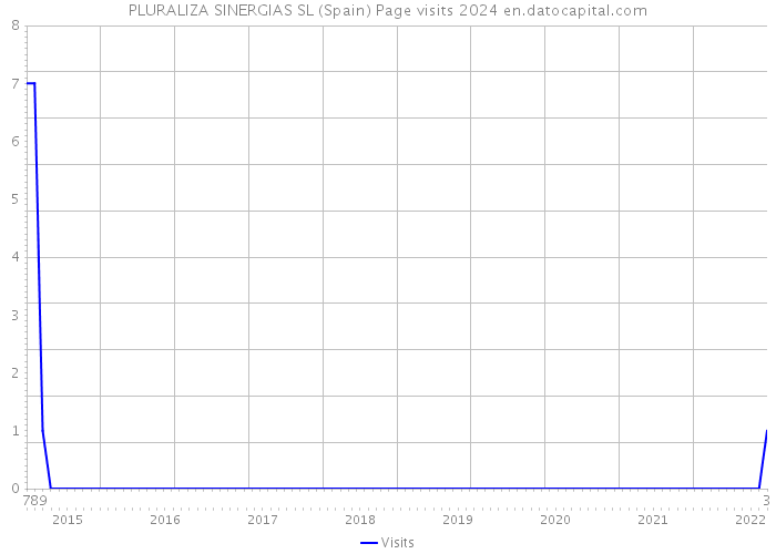 PLURALIZA SINERGIAS SL (Spain) Page visits 2024 