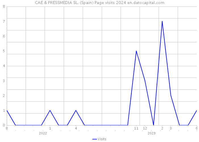 CAE & PRESSMEDIA SL. (Spain) Page visits 2024 