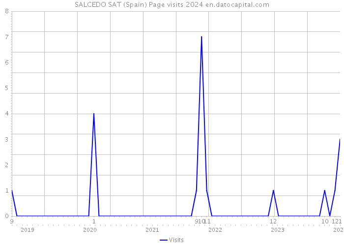 SALCEDO SAT (Spain) Page visits 2024 