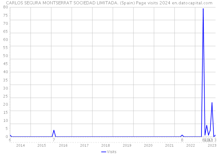 CARLOS SEGURA MONTSERRAT SOCIEDAD LIMITADA. (Spain) Page visits 2024 