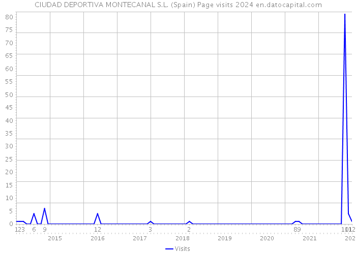 CIUDAD DEPORTIVA MONTECANAL S.L. (Spain) Page visits 2024 