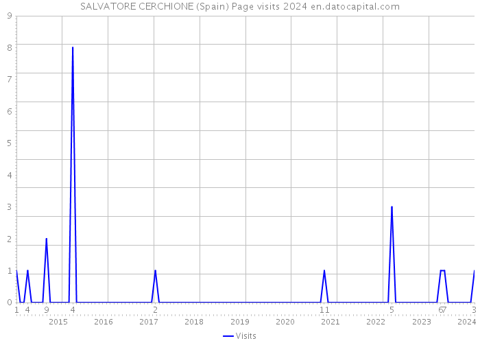 SALVATORE CERCHIONE (Spain) Page visits 2024 
