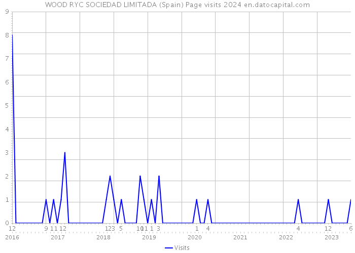WOOD RYC SOCIEDAD LIMITADA (Spain) Page visits 2024 