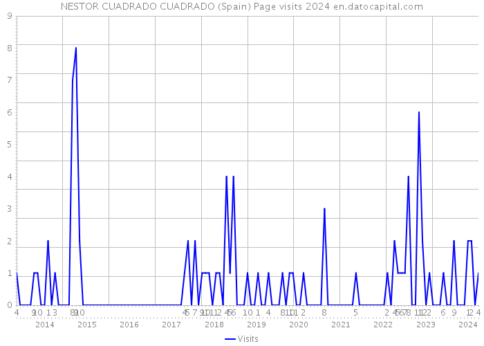 NESTOR CUADRADO CUADRADO (Spain) Page visits 2024 