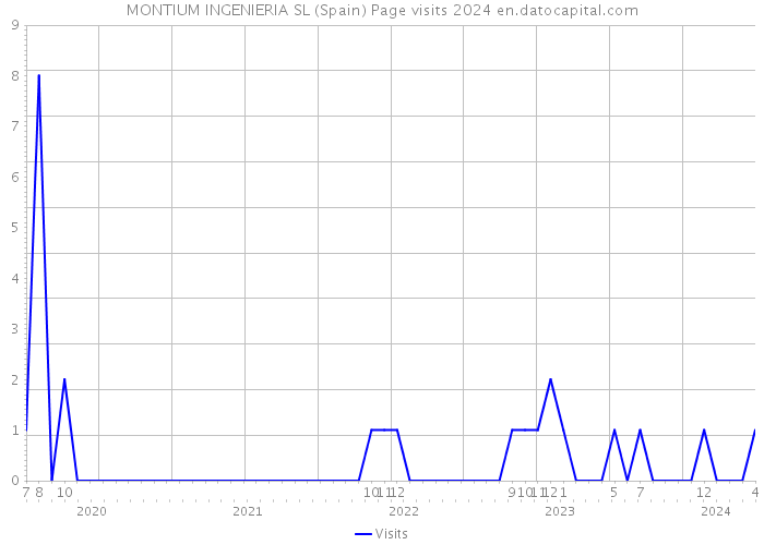 MONTIUM INGENIERIA SL (Spain) Page visits 2024 