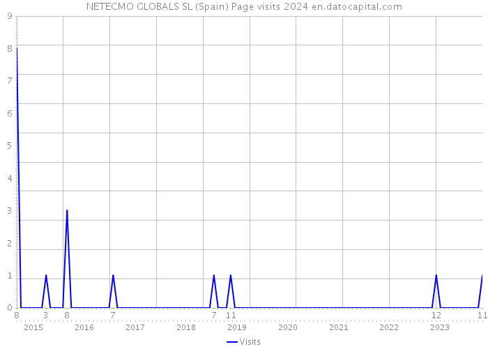NETECMO GLOBALS SL (Spain) Page visits 2024 