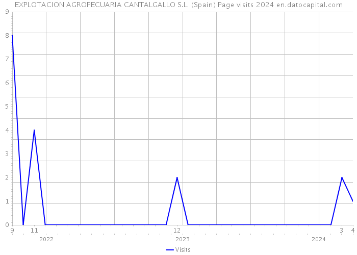EXPLOTACION AGROPECUARIA CANTALGALLO S.L. (Spain) Page visits 2024 