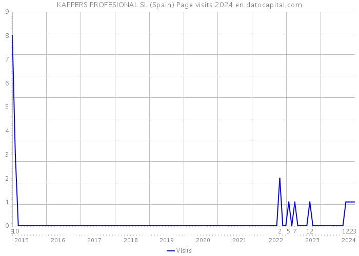 KAPPERS PROFESIONAL SL (Spain) Page visits 2024 