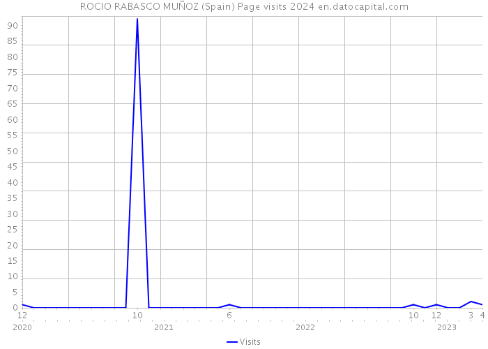 ROCIO RABASCO MUÑOZ (Spain) Page visits 2024 